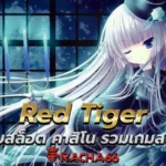Red Tiger เว็บสล็อต คาสิโน รวมเกมสนุกและน่าตื่นเต้น ไว้มากมาย